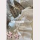 Princess Wedding Lolita Style Dress (DJ58)